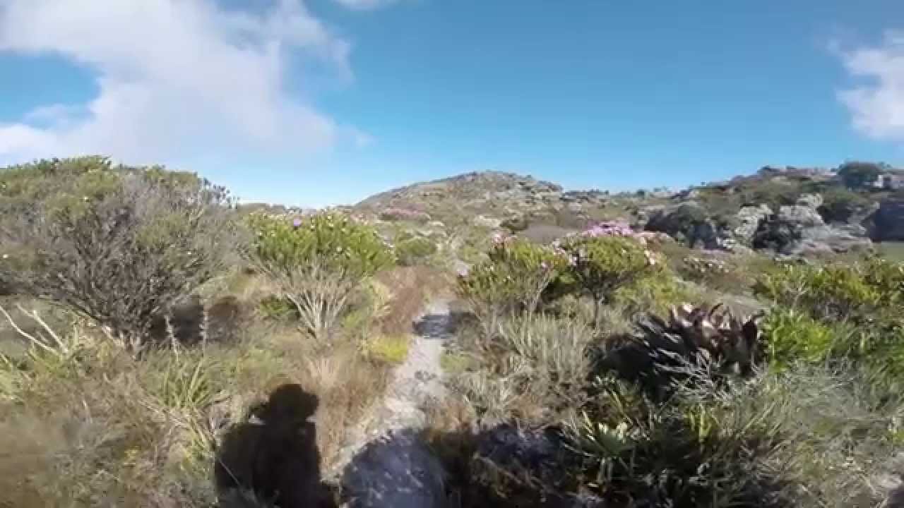 Trilha dos Tropeiros